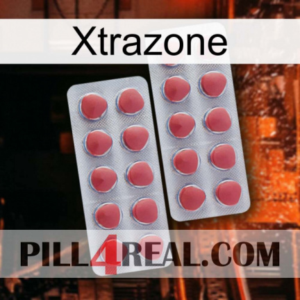 Xtrazone 19